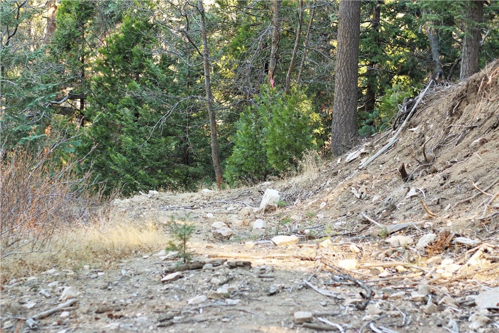 0 Maple Lake Skyforest, CA 92385 - Photo 21 of 25