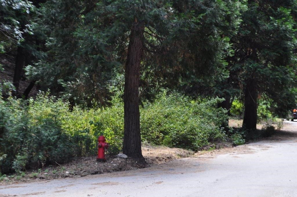 0 Maple Lake Skyforest, CA 92385 - Photo 24 of 25