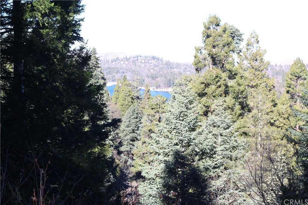 0 Maple Lake Skyforest, CA 92385 - Photo 5 of 25