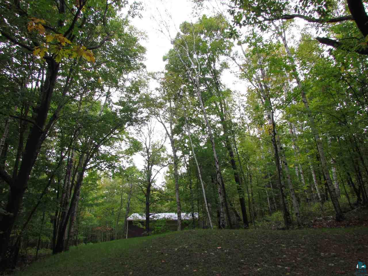 4659 West Pioneer Road Duluth, MN 55803 - Photo 7 of 19 View of the pole barn through the woods