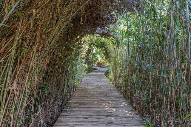 a view of a yard with plants and wooden fence