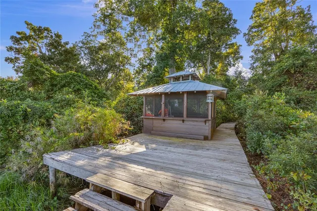 a view of a backyard