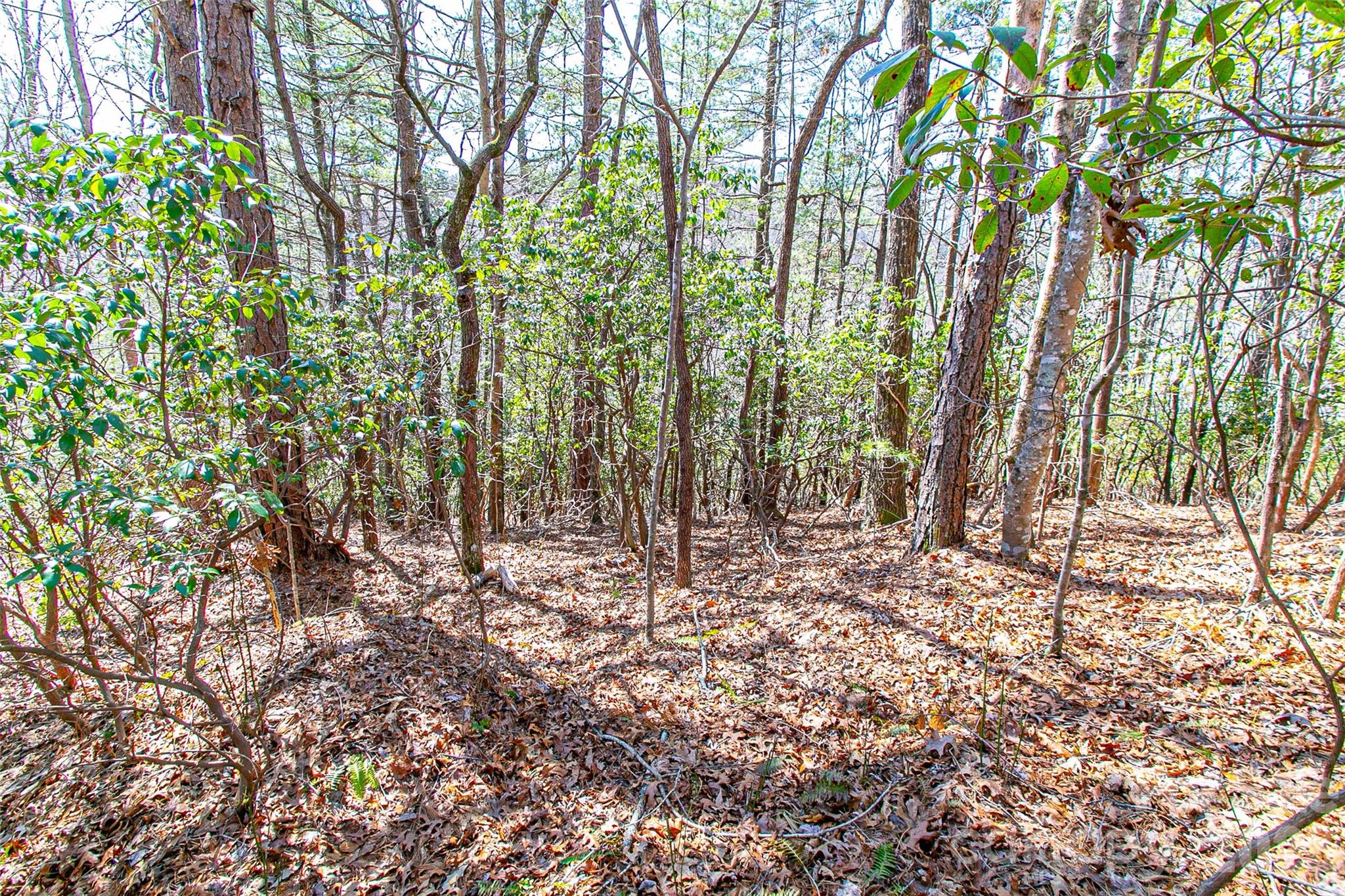 Tbd Still Branch Road, Unit L20 Brevard, NC 28712 - Photo 13 of 26