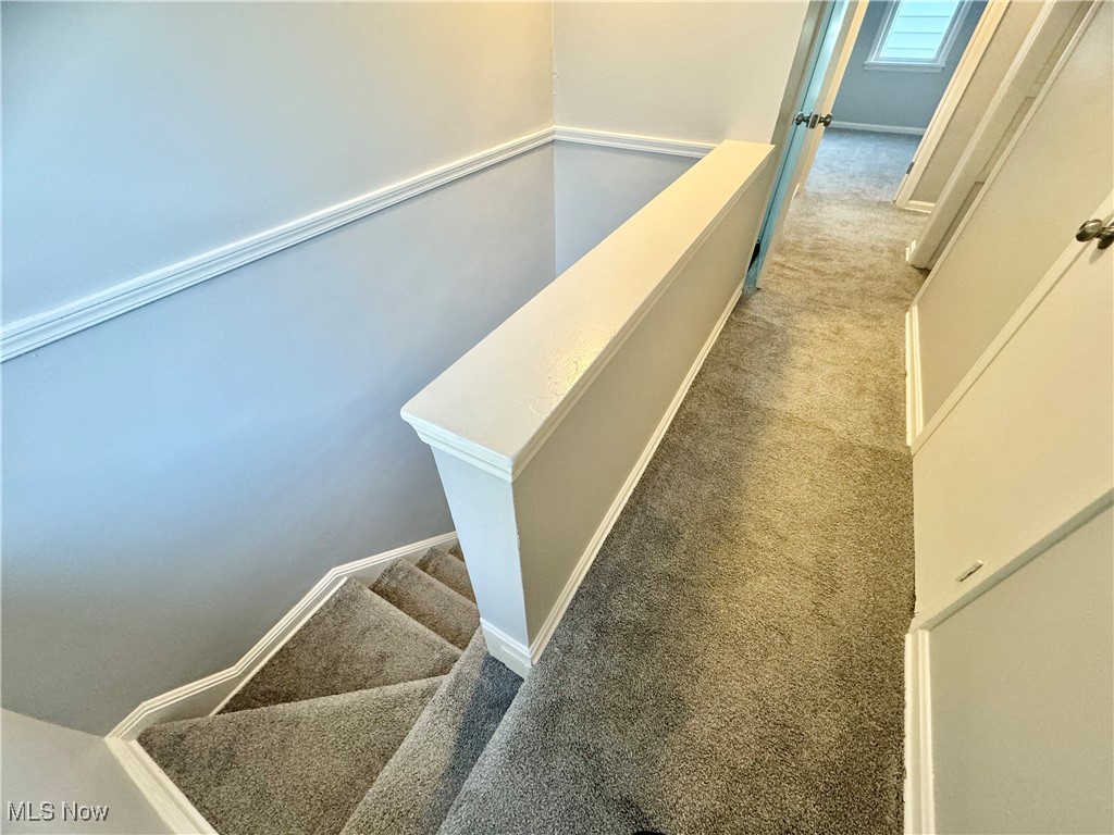 1215 Avondale Road Cleveland, OH 44121 - Photo 14 of 27 Staircase featuring carpet flooring