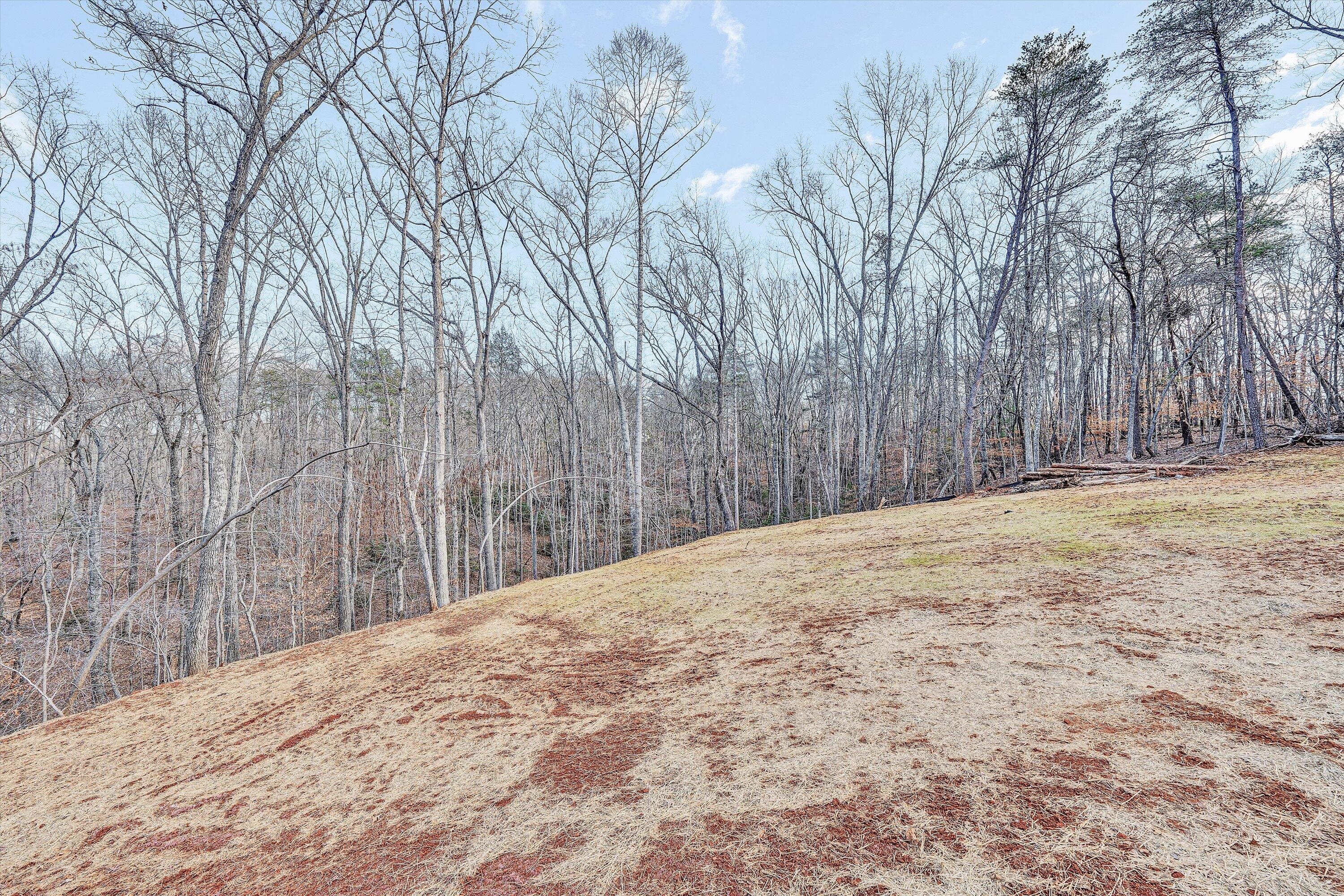 103 Bluff Court Moneta, VA 24121 - Photo 31 of 63 a view of a backyard of the house
