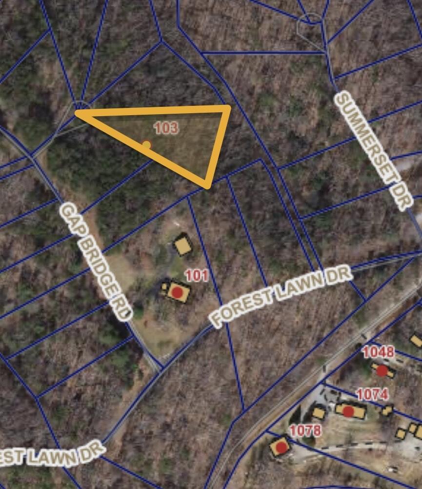 103 Bluff Court Moneta, VA 24121 - Photo 51 of 63 a street view with flat screen tv