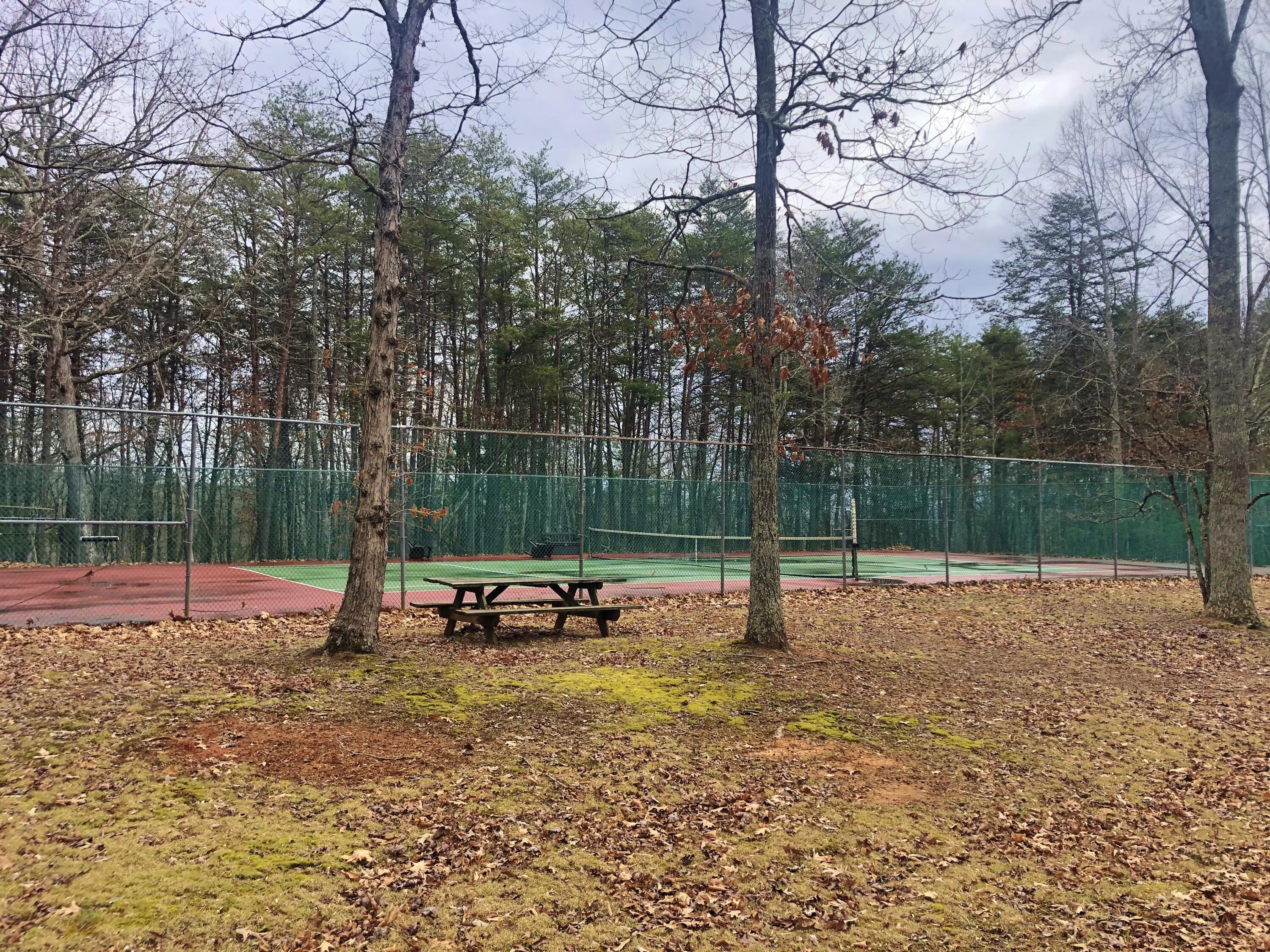 103 Bluff Court Moneta, VA 24121 - Photo 61 of 63 IMG_1735