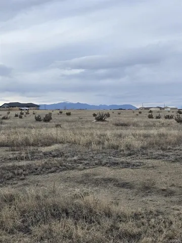 a view of a field with trees in background