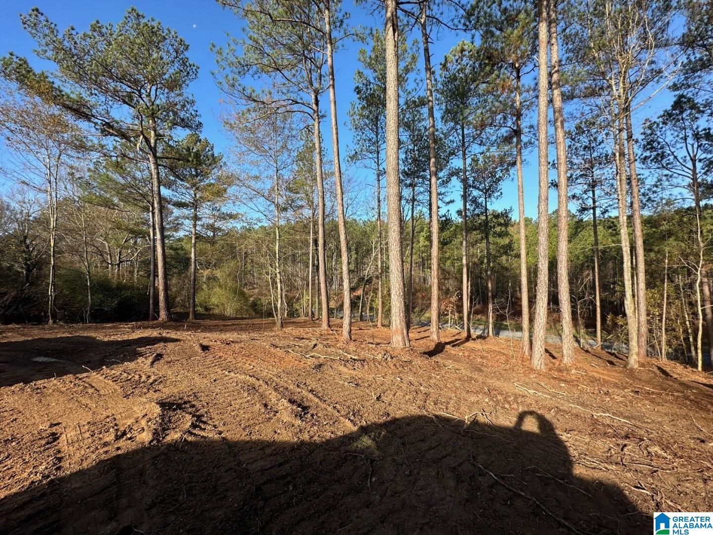 Firehouse Road, Unit 3 36 Goodwater, AL 35072 - Photo 4 of 7