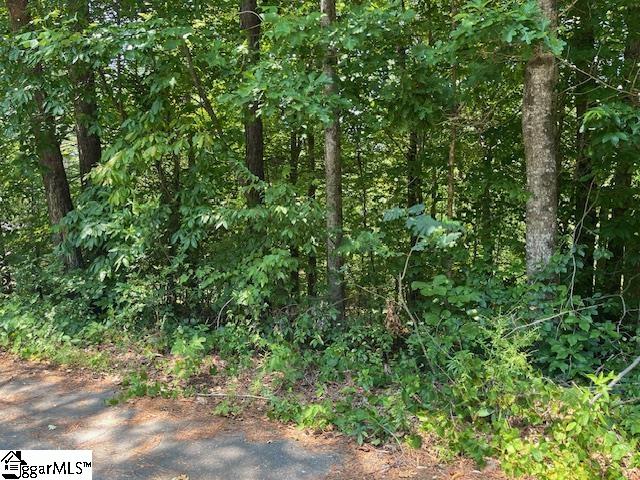 0 Fox Run Road, Unit LOT 57 Walhalla, SC 29691 - Photo 3 of 4