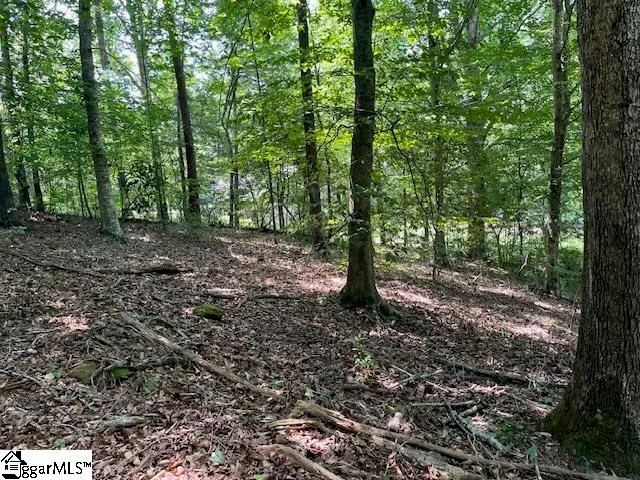 $20,000 | 0 Fox Run Road, Unit LOT 57, Walhalla, SC 29691