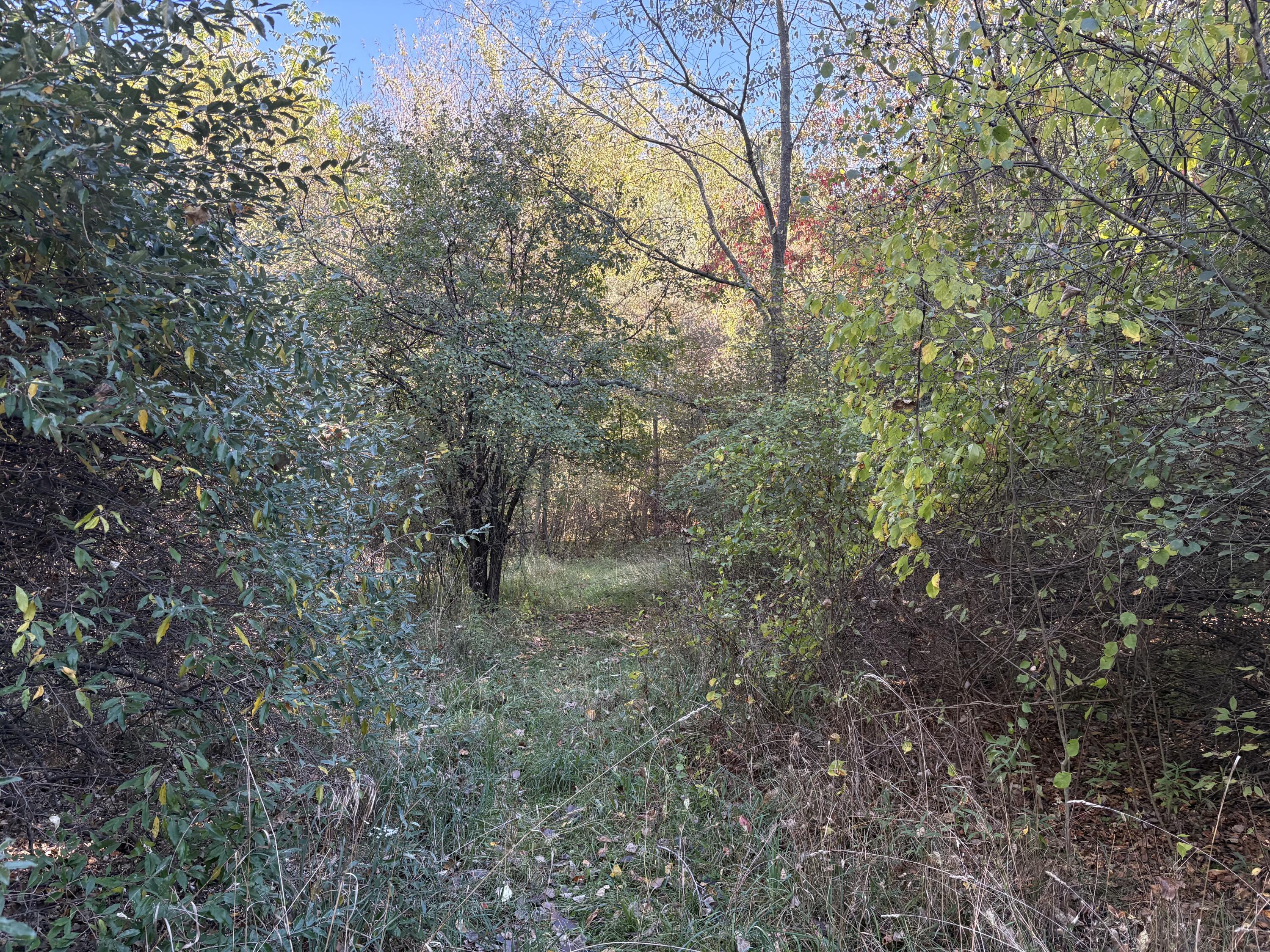 69 Clinton Way Jackson, MI 49201 - Photo 2 of 5 IMG_8269