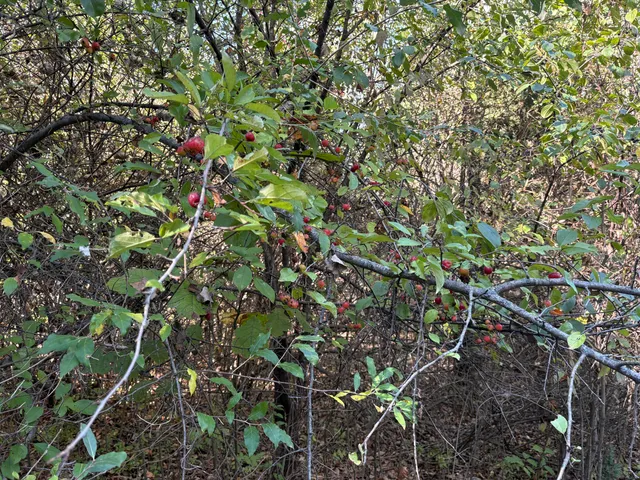 $385,000 | 69 Clinton Way, Jackson, MI 49201