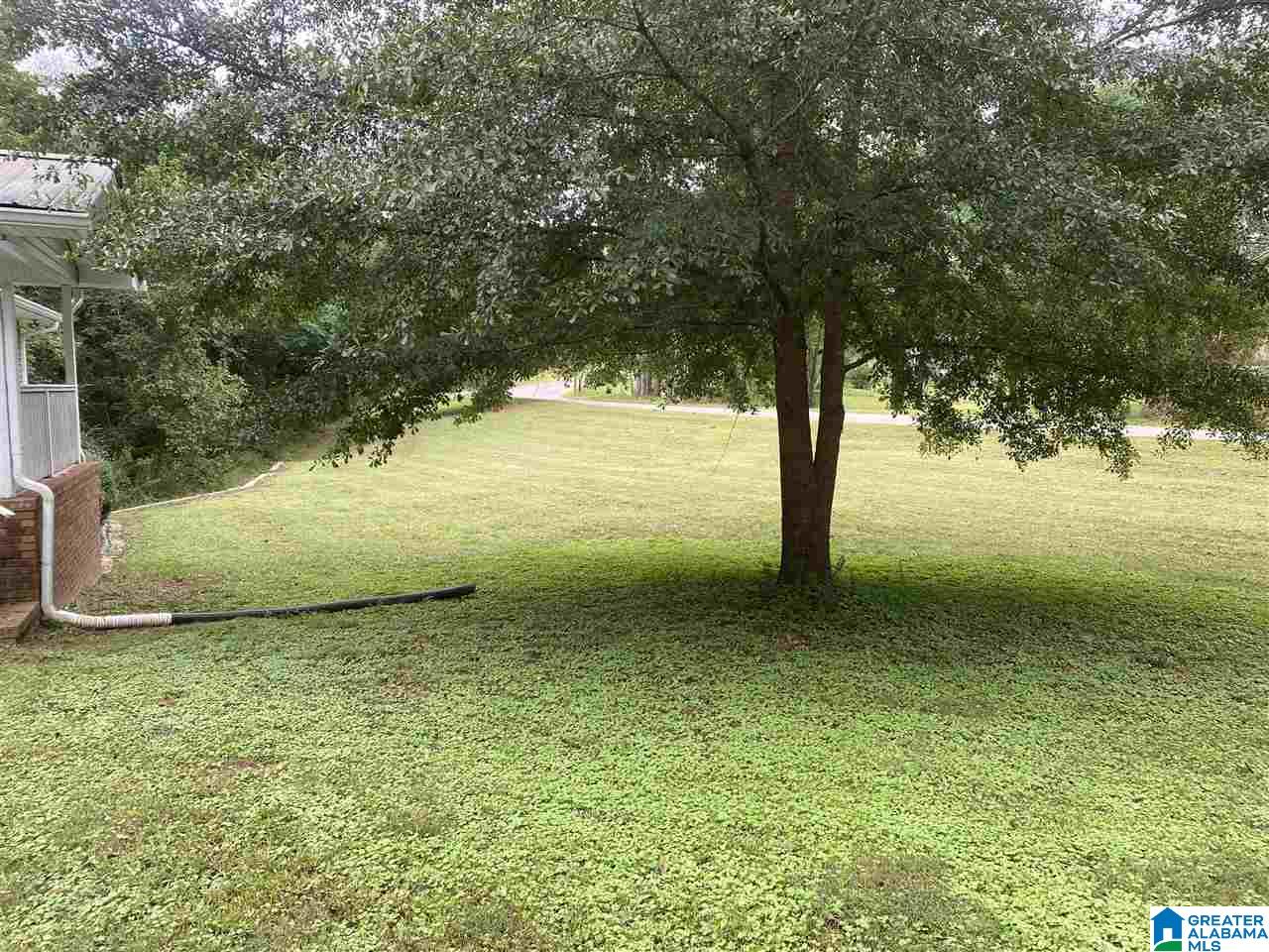 1421 Dovertown Road Cordova, AL 35550 - Photo 4 of 23
