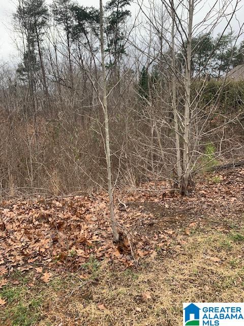 145 Cape Road, Unit 21 Bessemer, AL 35023 - Photo 1 of 2
