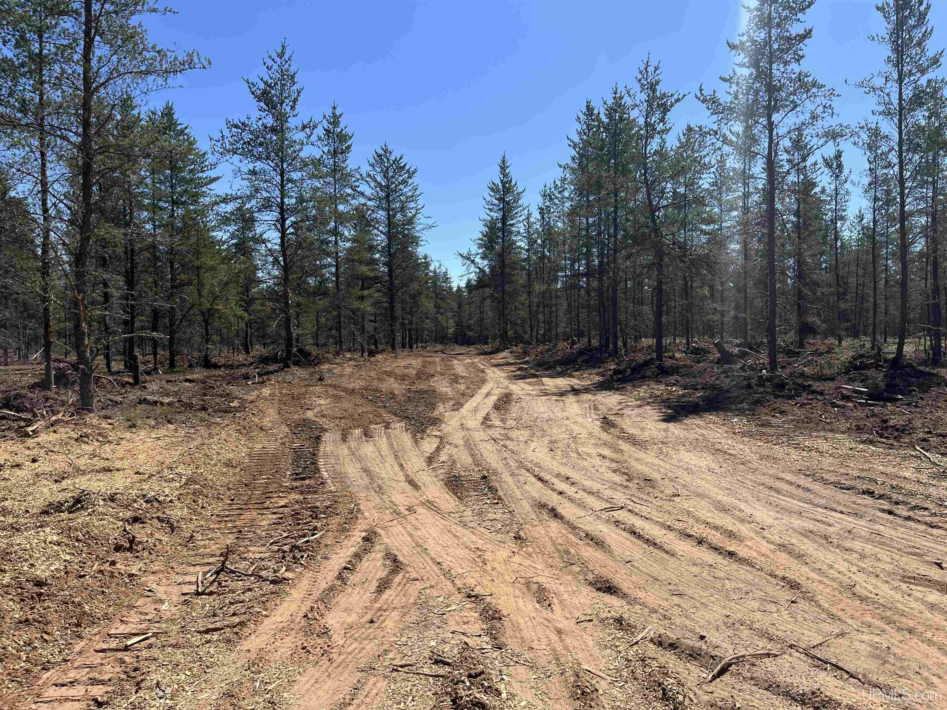 581 County Road 581 Road Ishpeming, MI 49849 - Photo 9 of 30