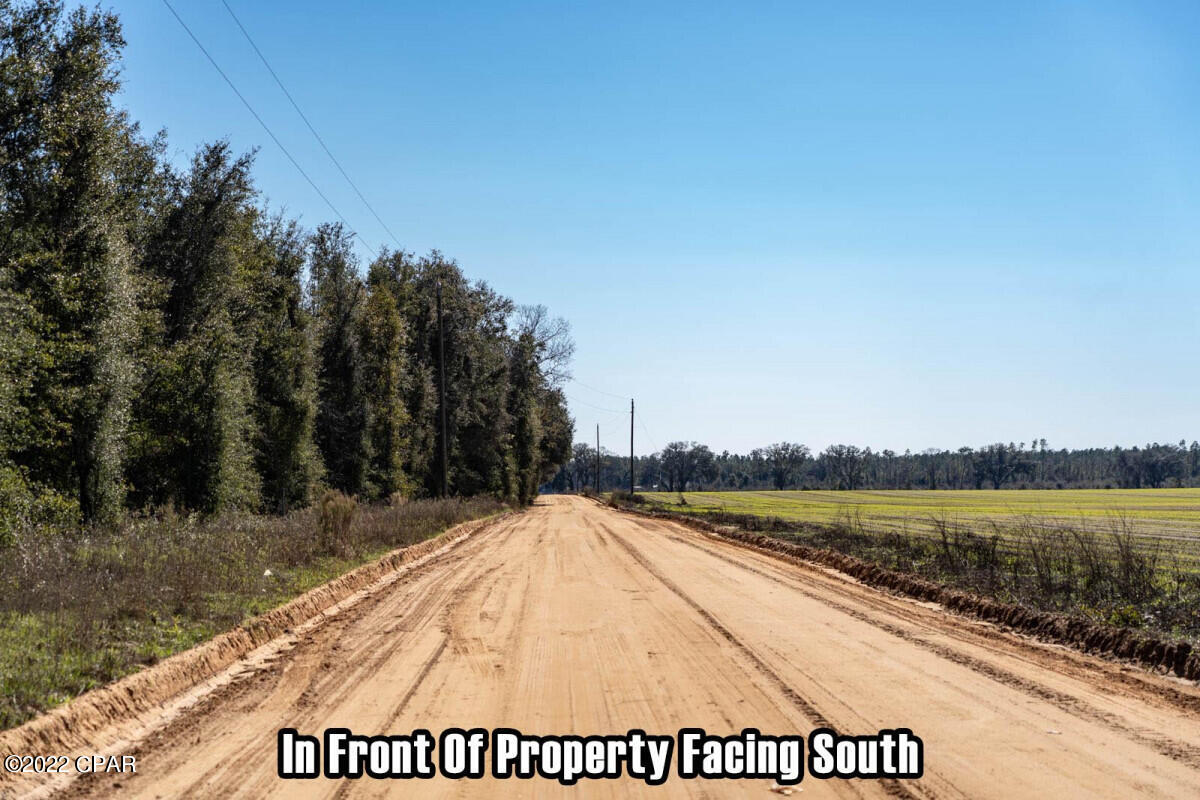 0 Sweet Pond Road Sneads, FL 32460 - Photo 4 of 12