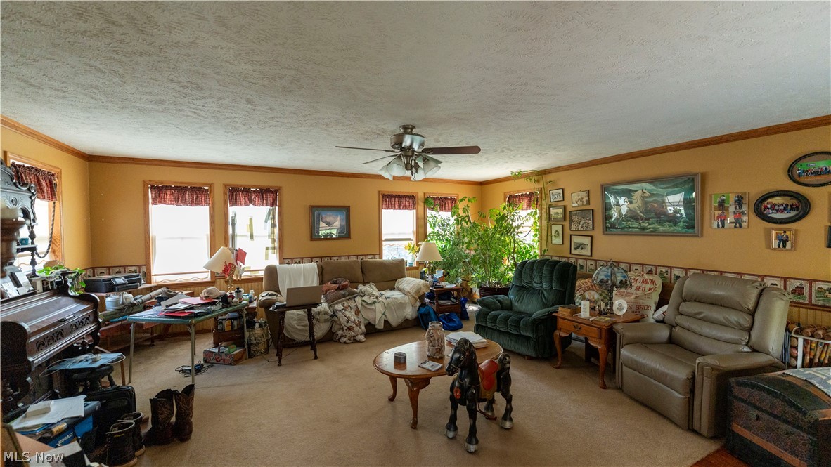 1498 Windy Ridge Road Vincent, OH 45784 - Photo 15 of 35 Gallery Image 15