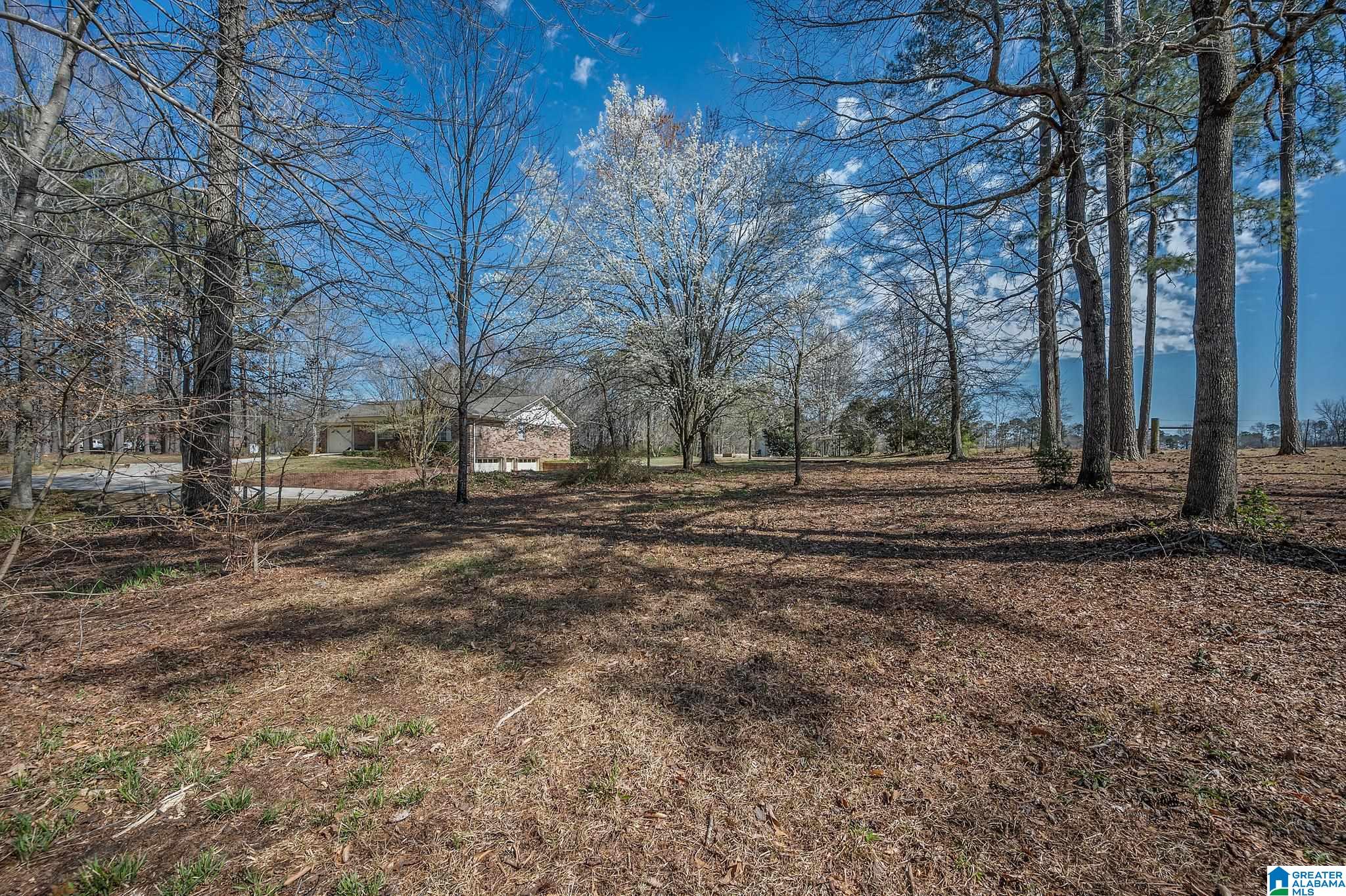3821 Mt Olive Road Mount Olive, AL 35117 - Photo 3 of 40