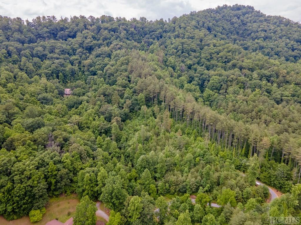 703 Bryson Branch Road Franklin, NC 28734 - Photo 70 of 74 Gallery Image 70