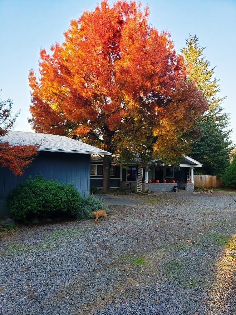 1766 Camp Baker Road Medford, OR 97501 - Photo 34 of 34 Additional Photo