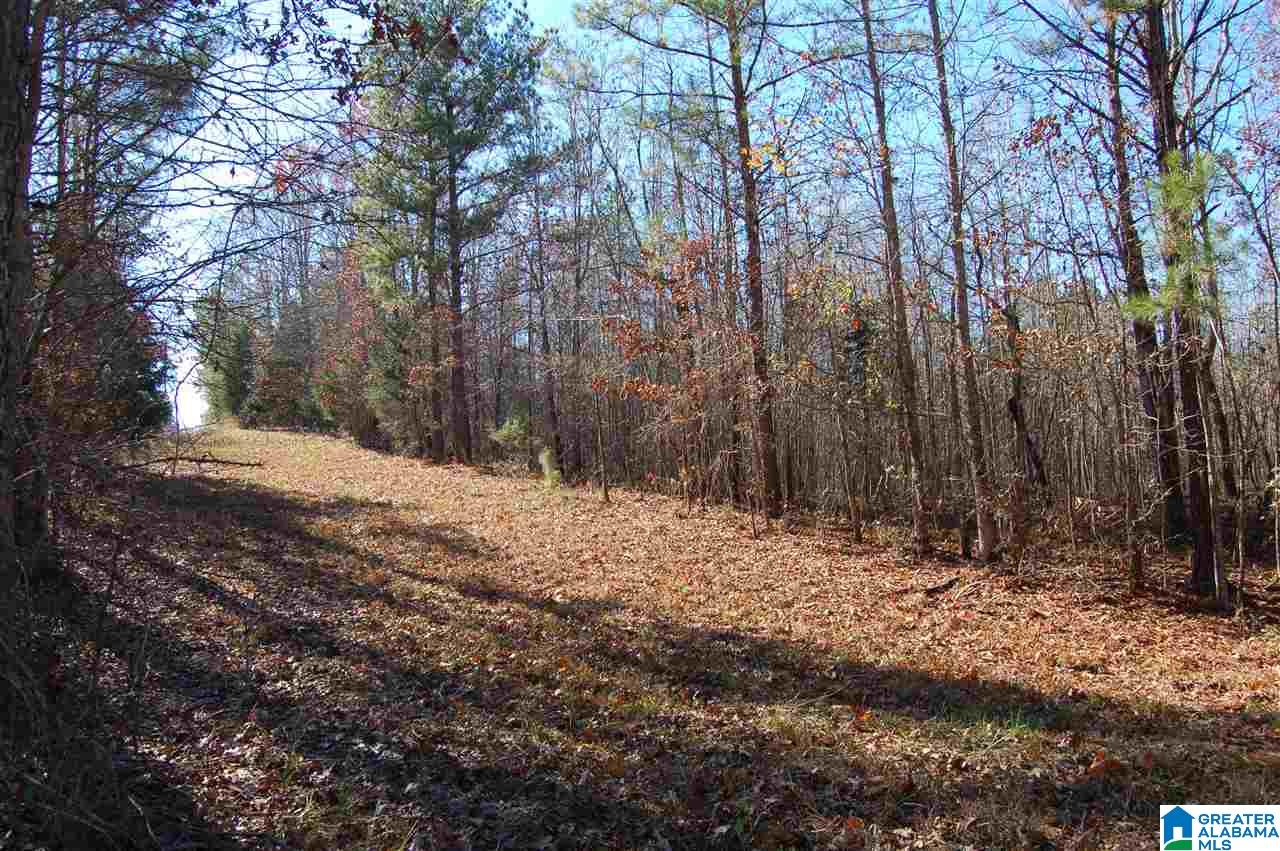 101 County Road, Unit 10 Equality, AL 36026 - Photo 8 of 8