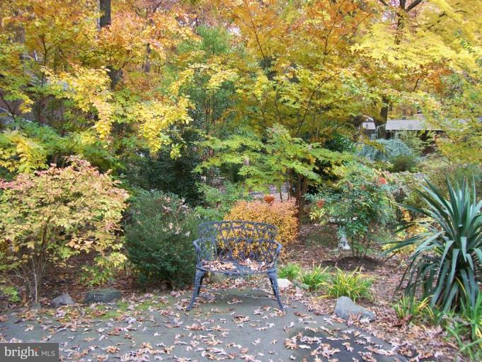 12104 Stirrup Road Reston, VA 20191 - Photo 27 of 27 a view of a yard with plants and large trees