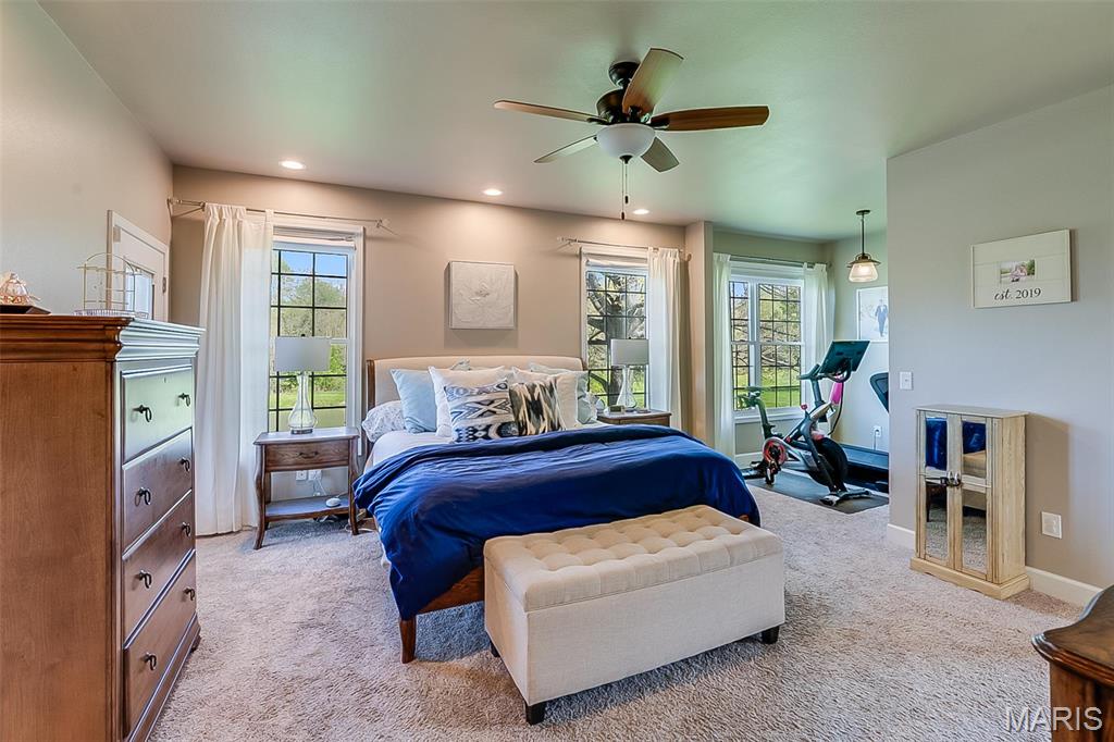 9120 Rezy Road Staunton, IL 62088 - Photo 25 of 62
