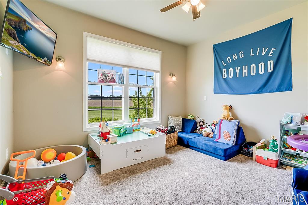 9120 Rezy Road Staunton, IL 62088 - Photo 35 of 62