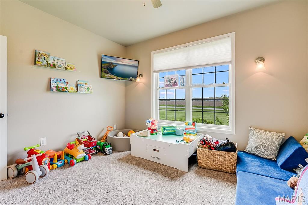 9120 Rezy Road Staunton, IL 62088 - Photo 36 of 62