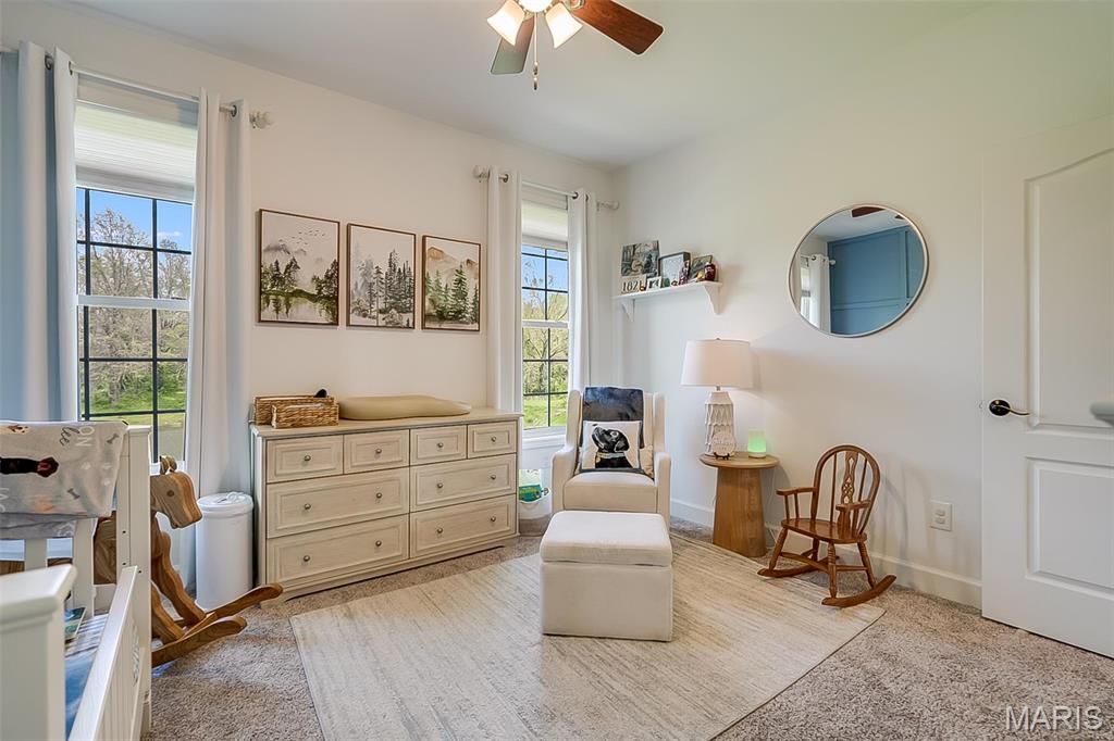 9120 Rezy Road Staunton, IL 62088 - Photo 38 of 62