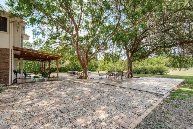 a view of a backyard with large trees