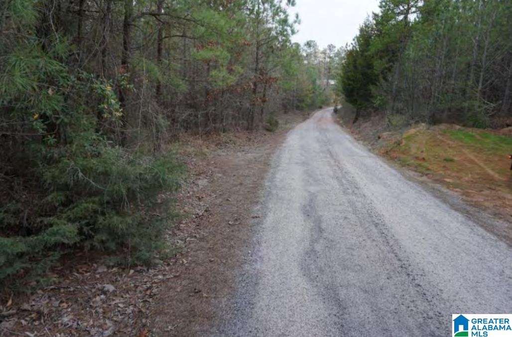 0 Highway 5, Unit 19 ACRES Centreville, AL 35042 - Photo 4 of 9