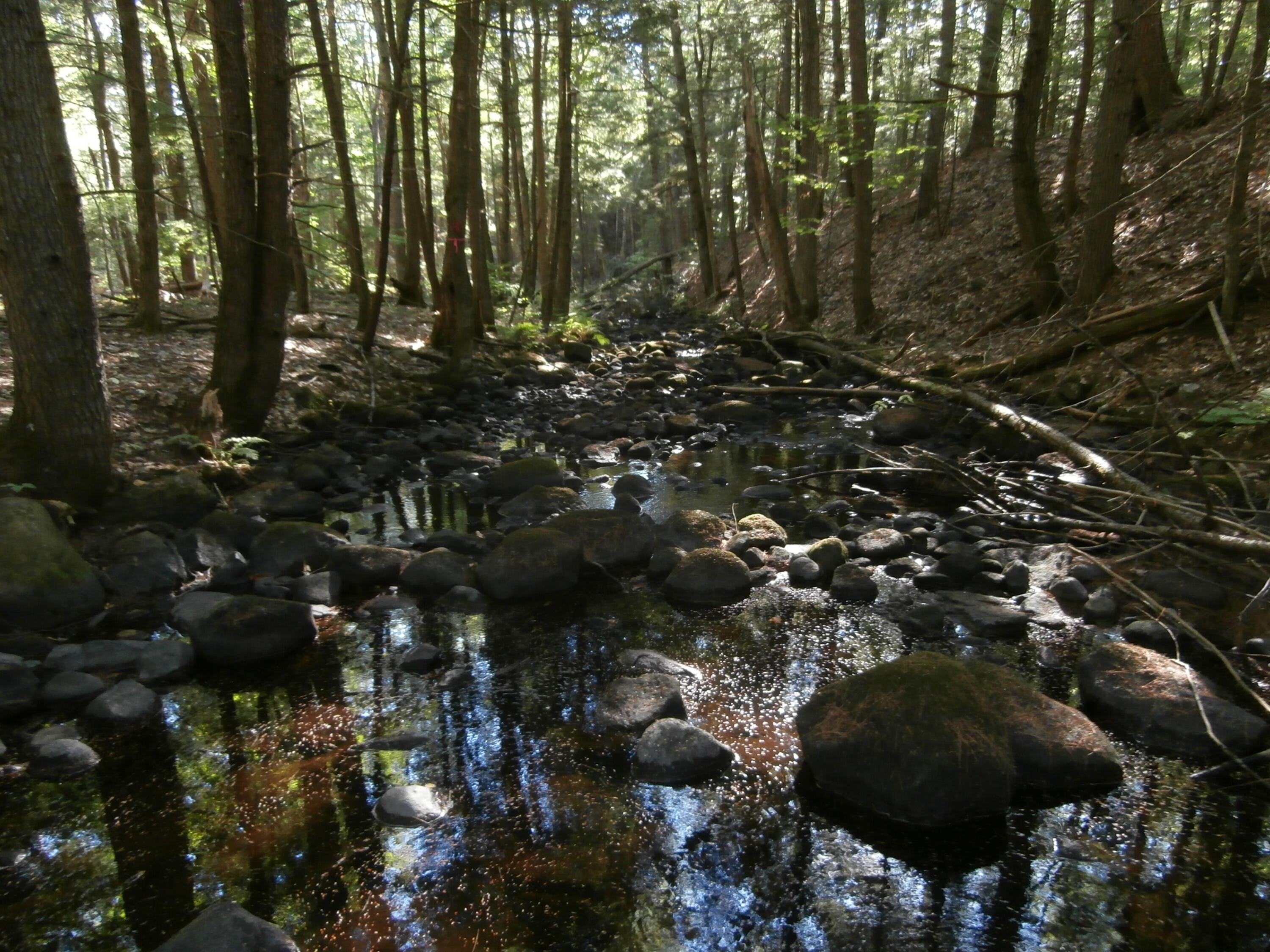 Lot15-006b Quarry Road Limerick, ME 04048 - Photo 11 of 15 P1010612