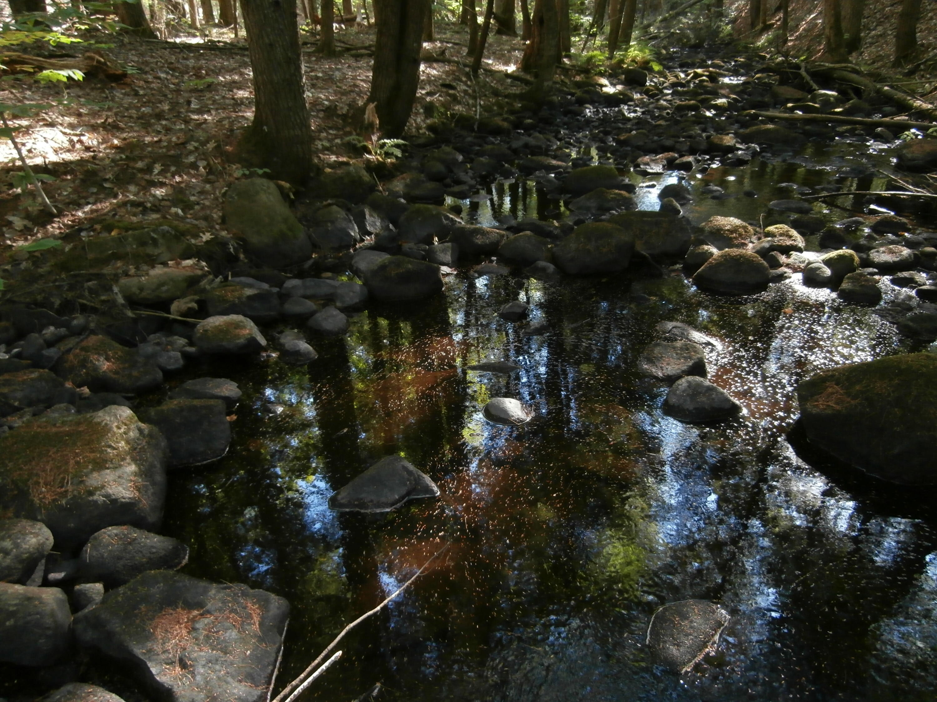 Lot15-006b Quarry Road Limerick, ME 04048 - Photo 12 of 15 P1010614
