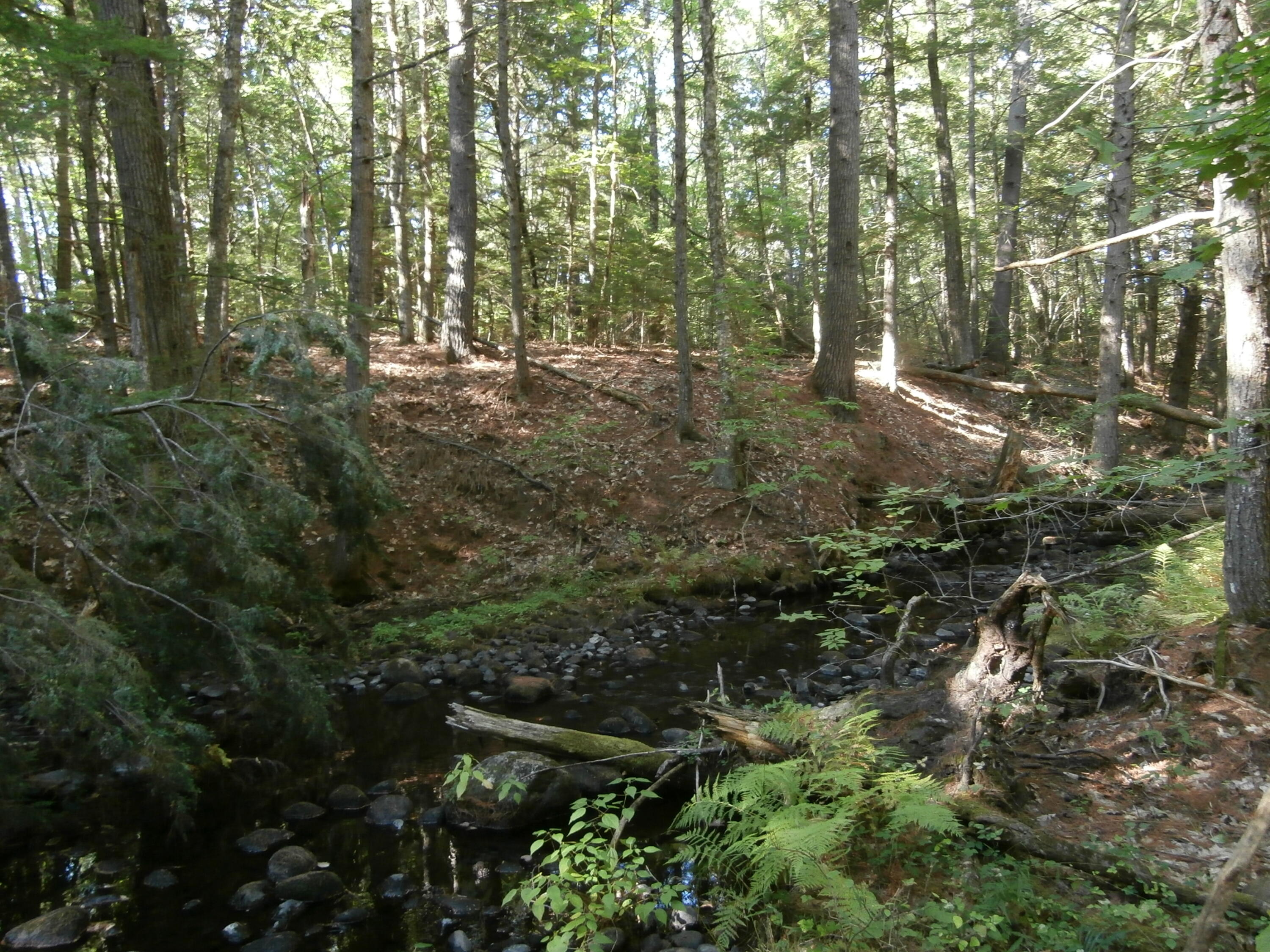 Lot15-006b Quarry Road Limerick, ME 04048 - Photo 13 of 15 P1010616