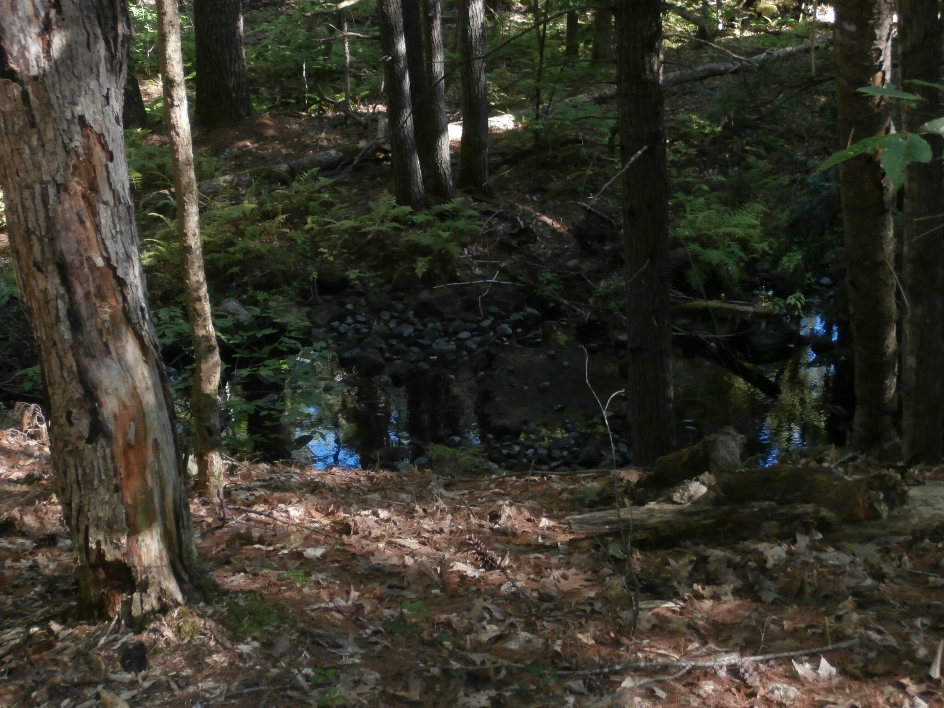 Lot15-006b Quarry Road Limerick, ME 04048 - Photo 15 of 15 P1010618