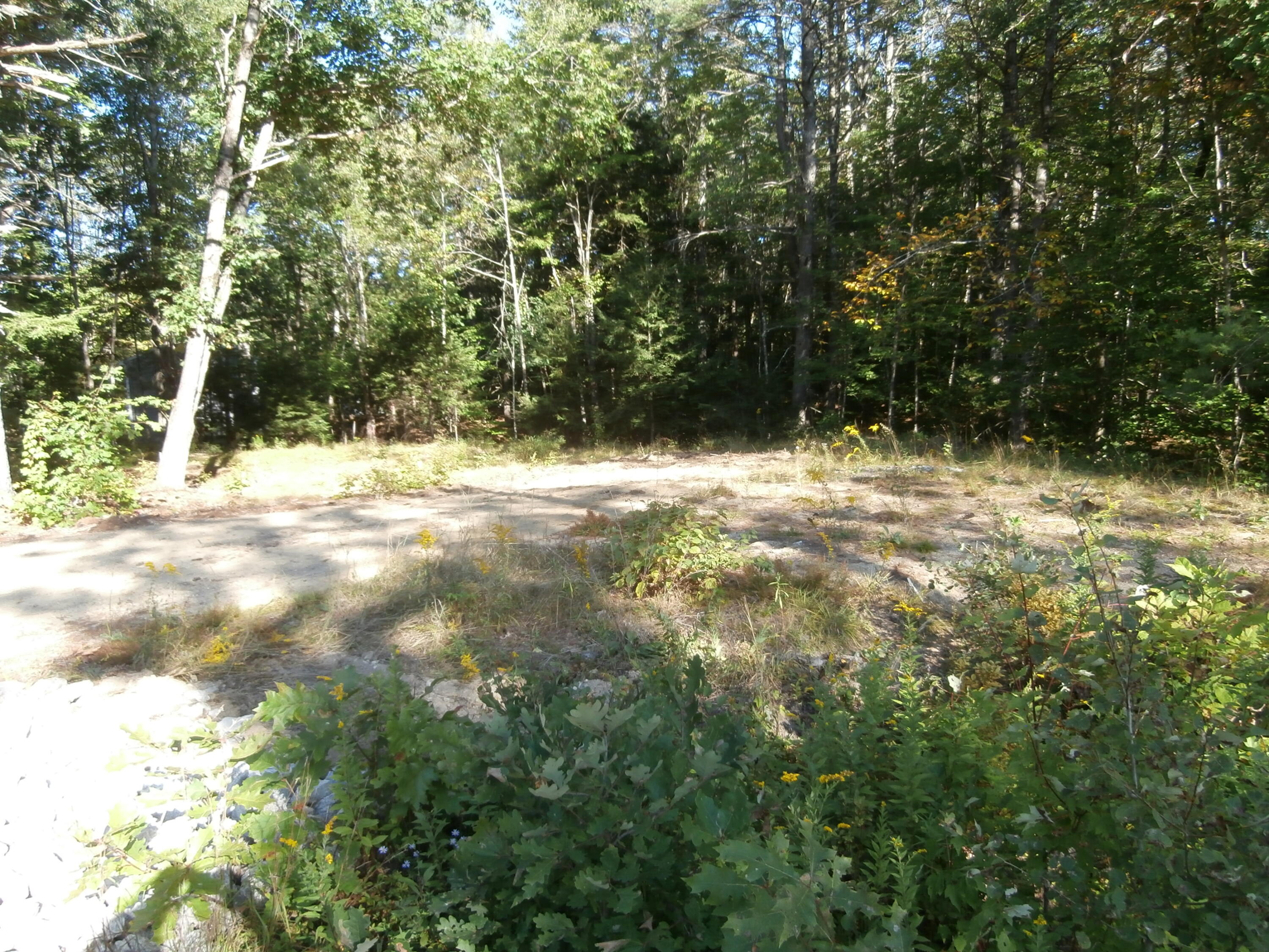 Lot15-006b Quarry Road Limerick, ME 04048 - Photo 3 of 15 P1010624