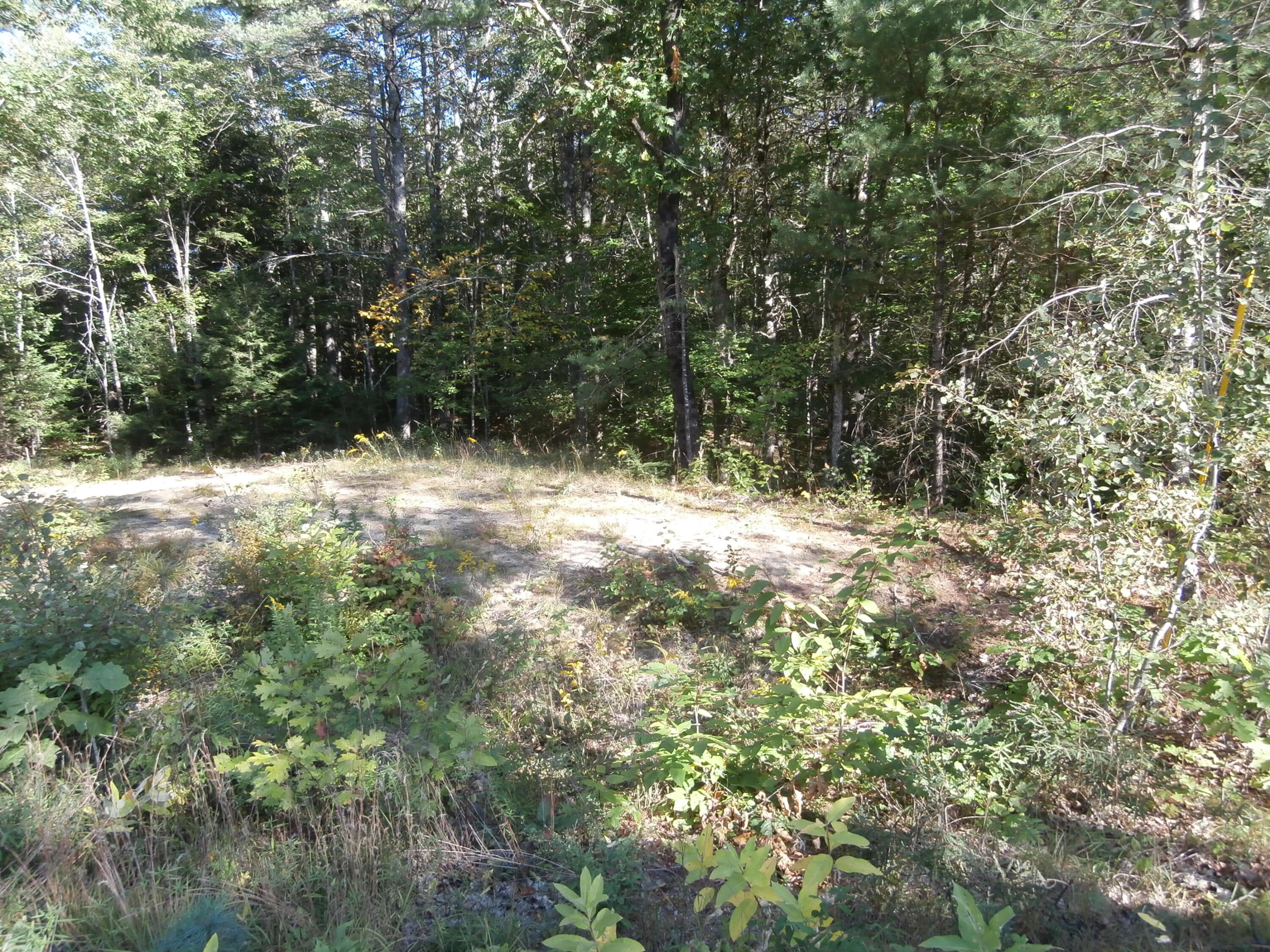 Lot15-006b Quarry Road Limerick, ME 04048 - Photo 4 of 15 P1010622