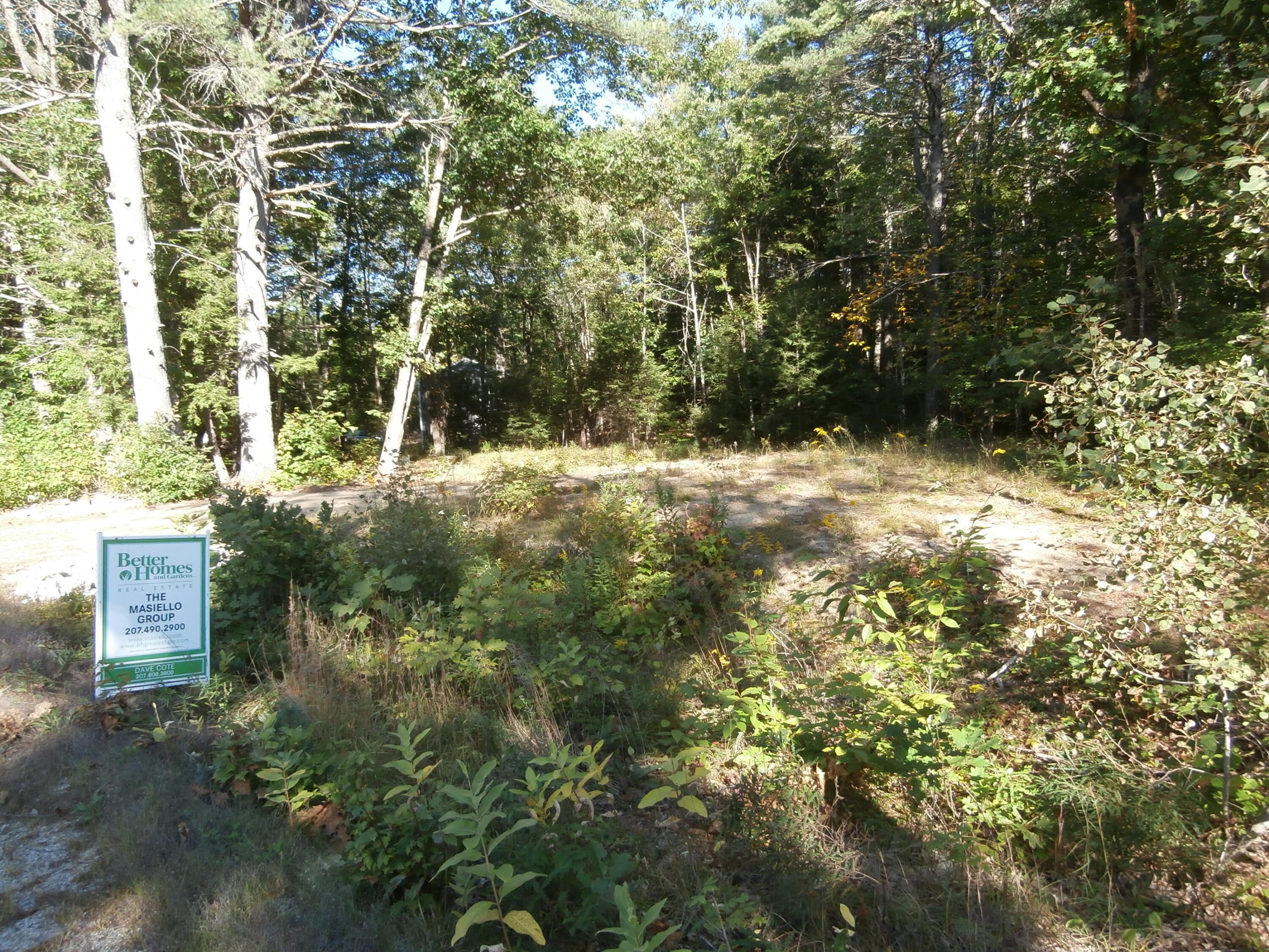 Lot15-006b Quarry Road Limerick, ME 04048 - Photo 5 of 15 P1010623