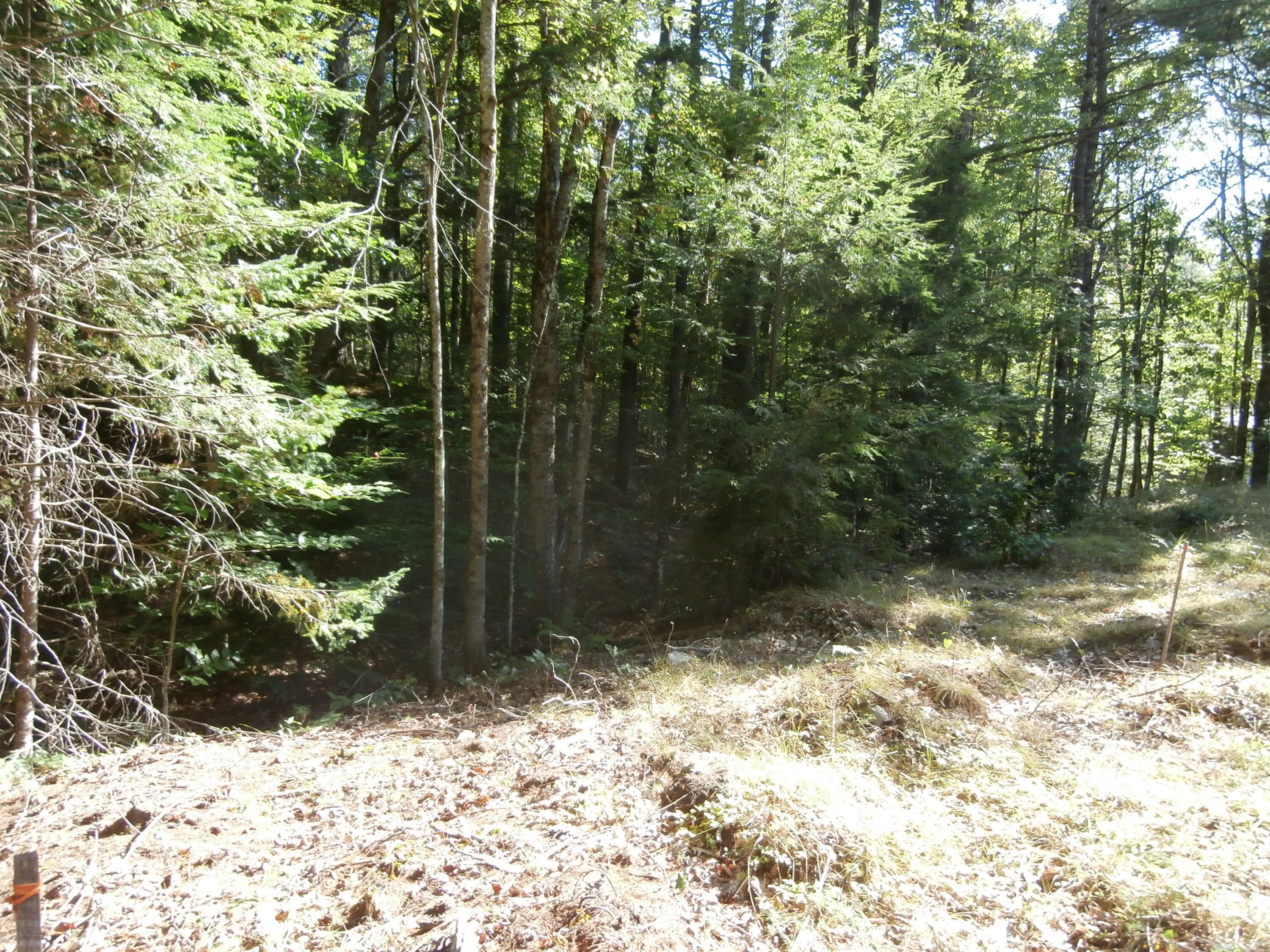 Lot15-006b Quarry Road Limerick, ME 04048 - Photo 7 of 15 P1010608