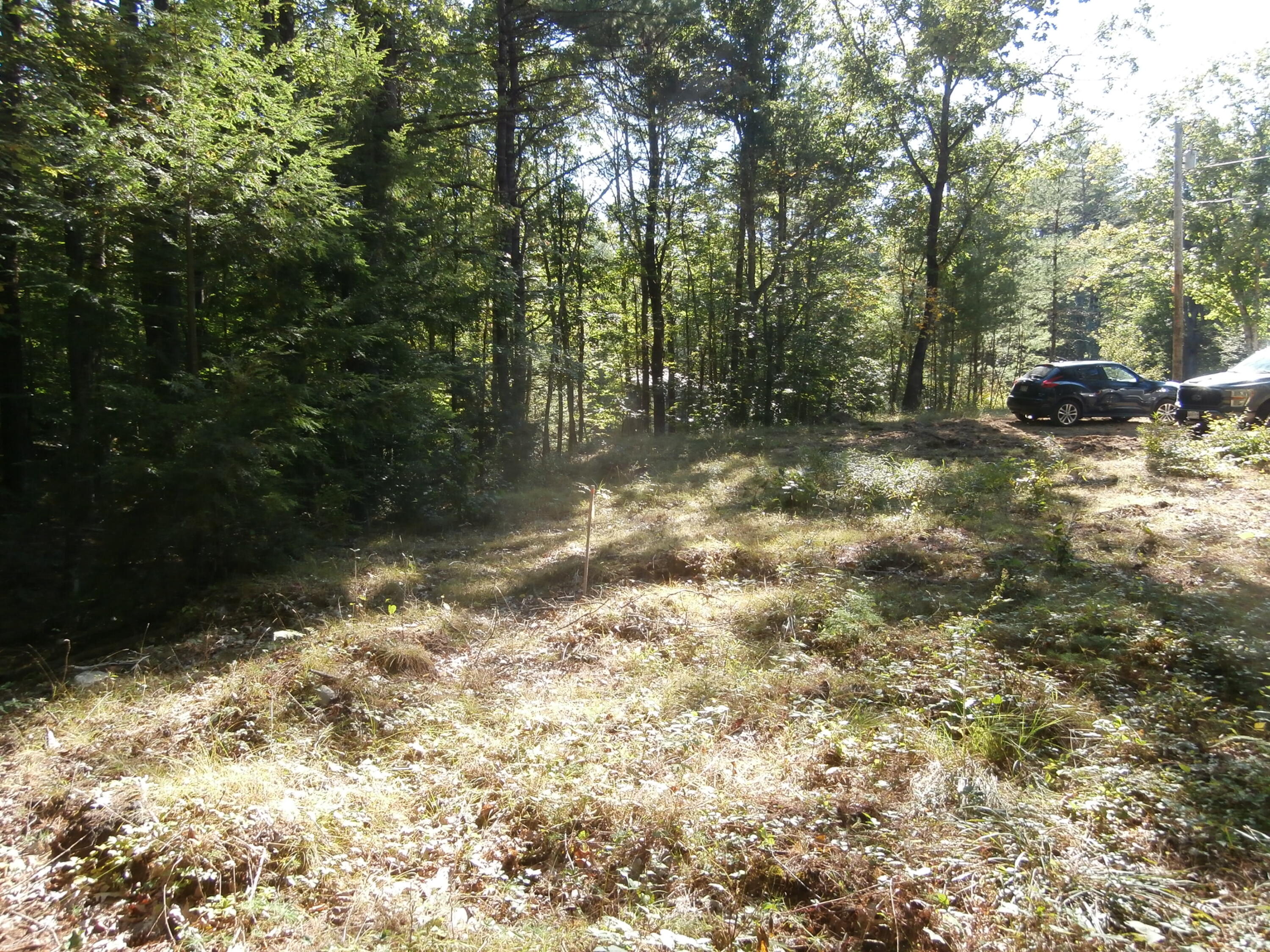 Lot15-006b Quarry Road Limerick, ME 04048 - Photo 8 of 15 P1010609