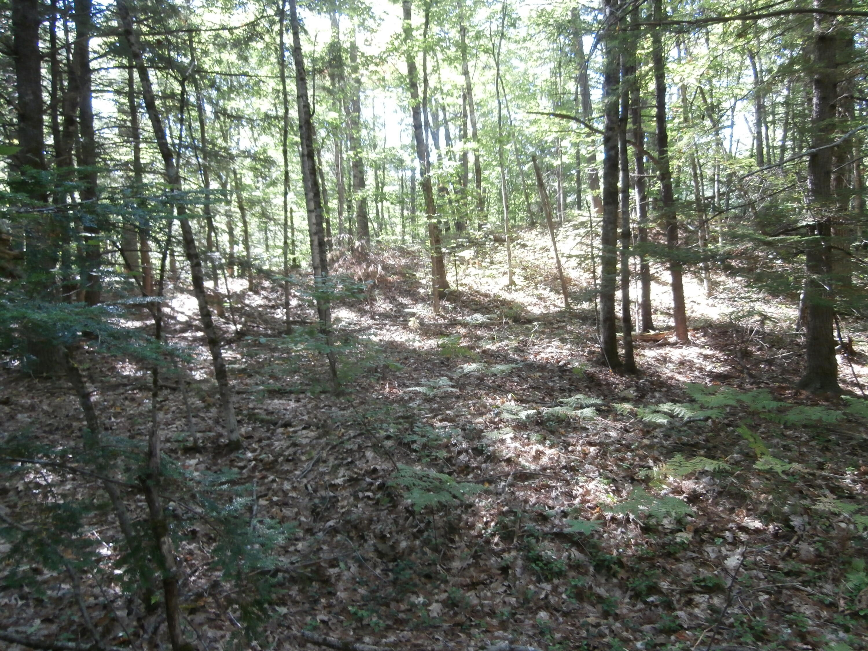 Lot15-006b Quarry Road Limerick, ME 04048 - Photo 9 of 15 P1010610