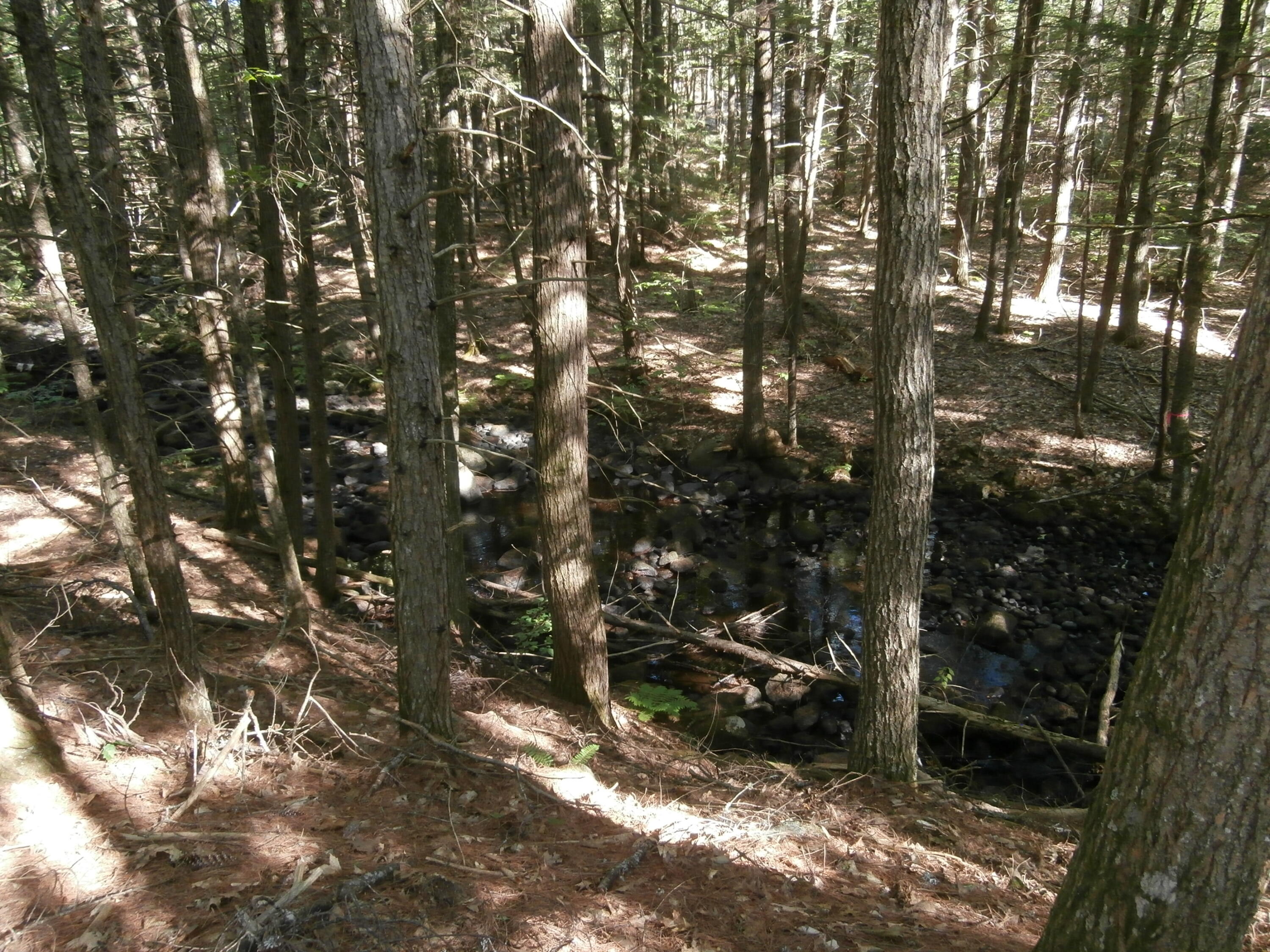 Lot15-006b Quarry Road Limerick, ME 04048 - Photo 10 of 15 P1010611