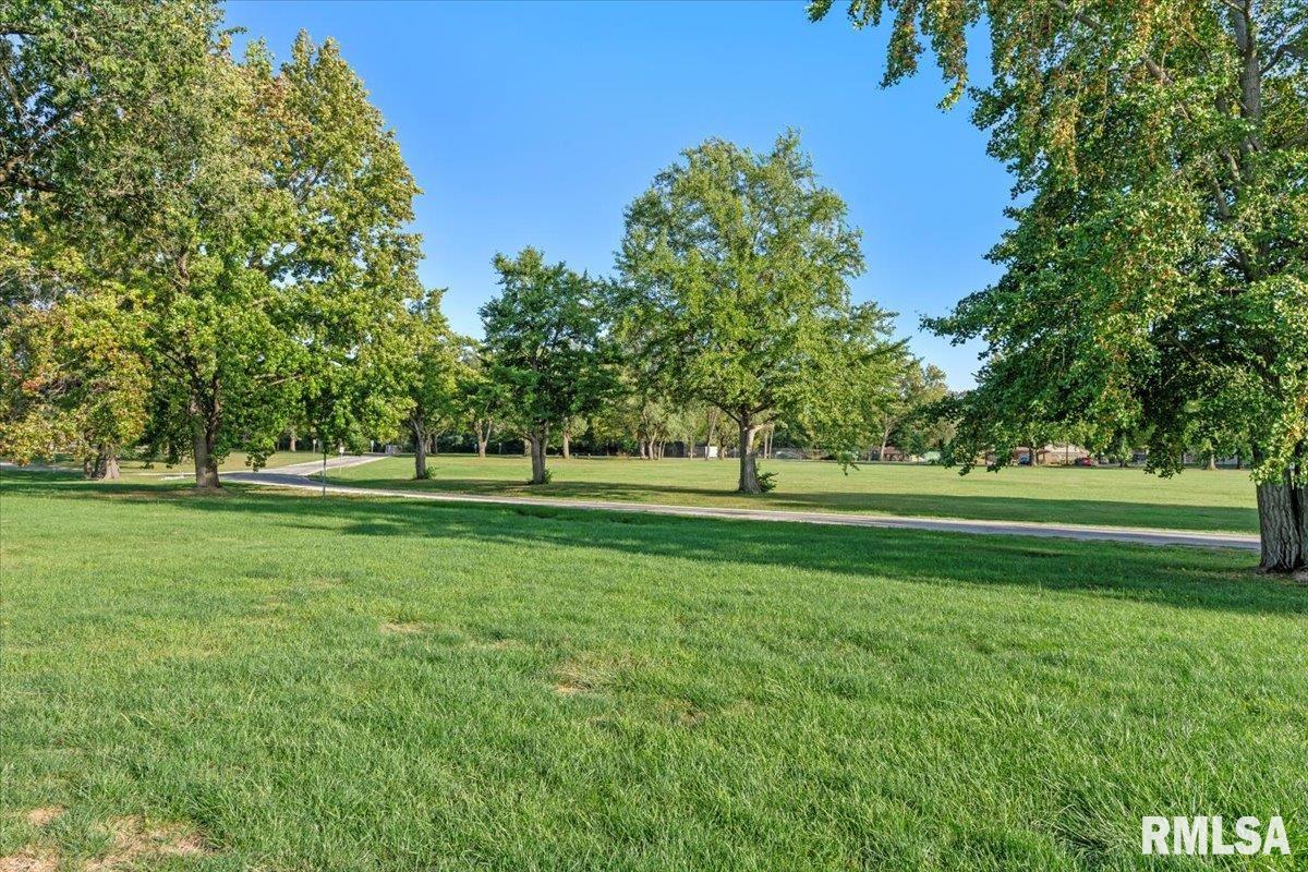 302 Harbor Point Place Springfield, IL 62712 - Photo 36 of 38 Gallery Image 36