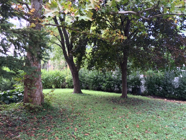 1112 Lake Cook Road Deerfield, IL 60015 - Photo 2 of 3