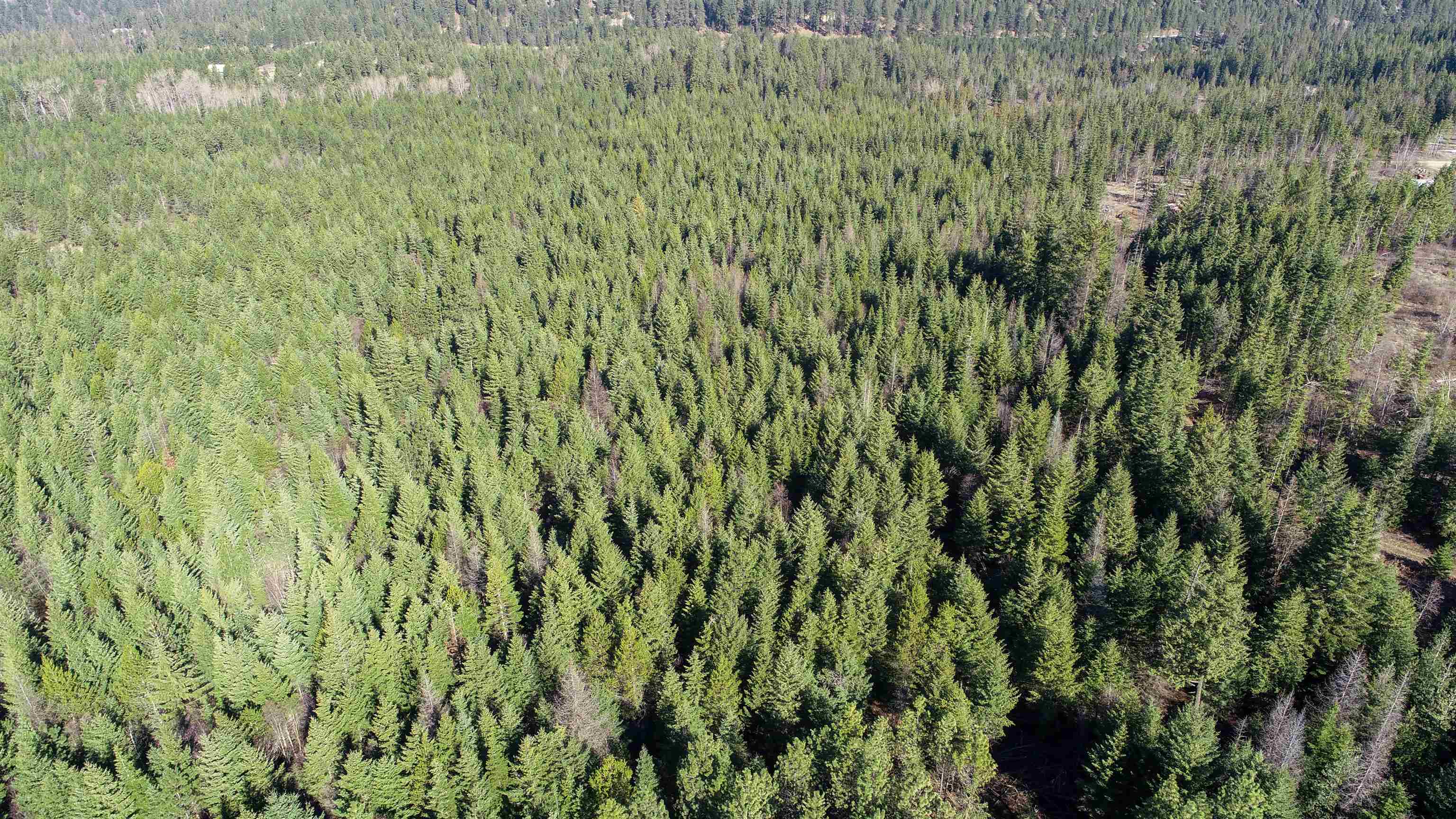 Nka Thompson Road Elk, WA 99009 - Photo 12 of 19 Gallery Image 12