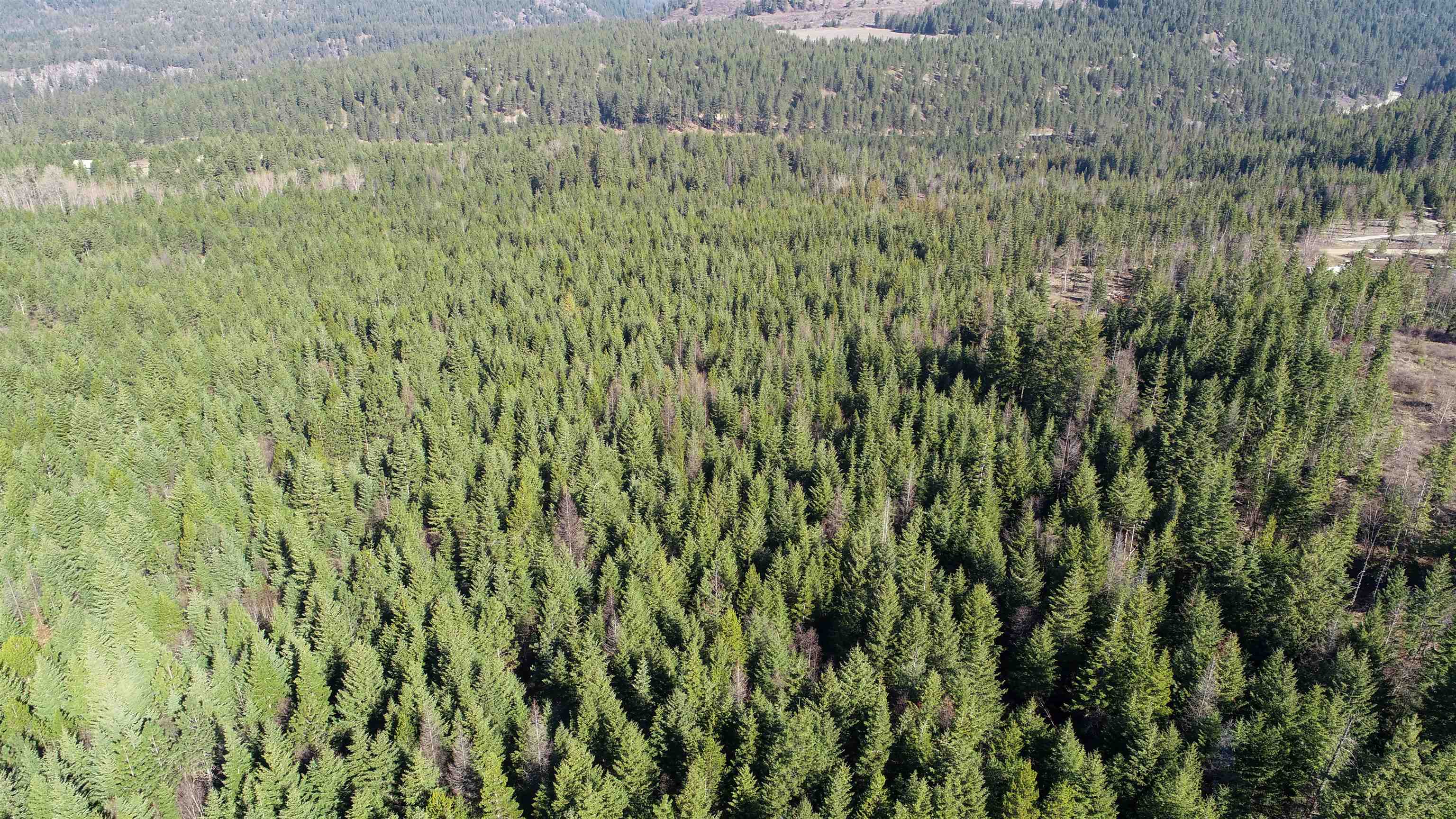Nka Thompson Road Elk, WA 99009 - Photo 13 of 19 Gallery Image 13