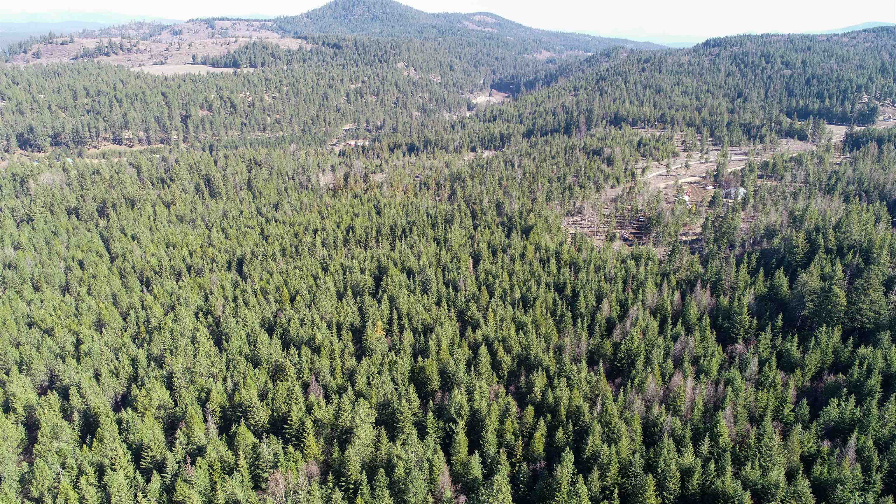 Nka Thompson Road Elk, WA 99009 - Photo 14 of 19 Gallery Image 14