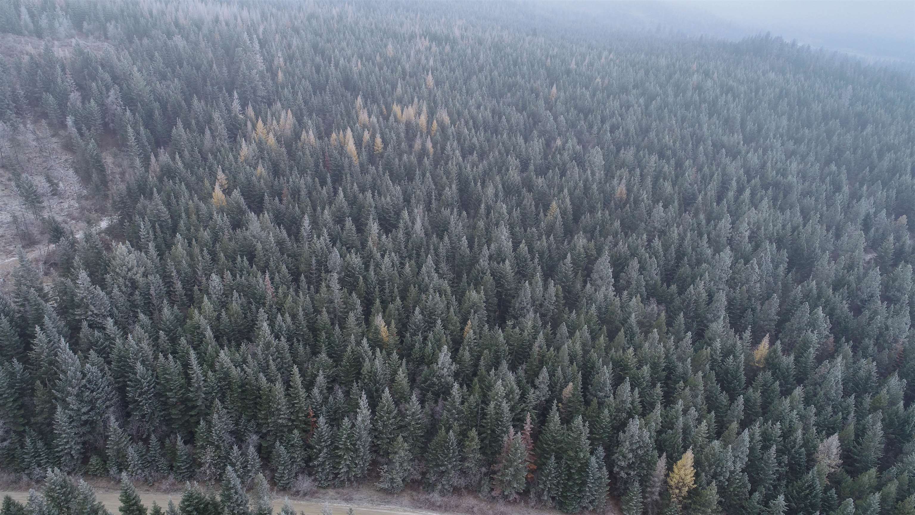Nka Thompson Road Elk, WA 99009 - Photo 15 of 19 Gallery Image 15